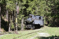 Lesní železnice přežívají jen ve skanzenu