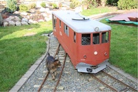 Zahradní železnicí vozí nadšence i kočku